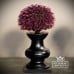 Old classical victorian decorative urchin stand