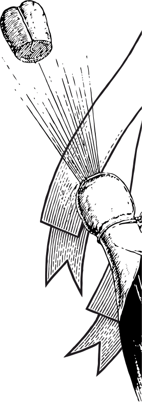 Gifts & Vouchers image right