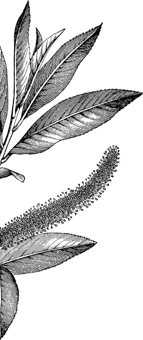 Historical Collection image left