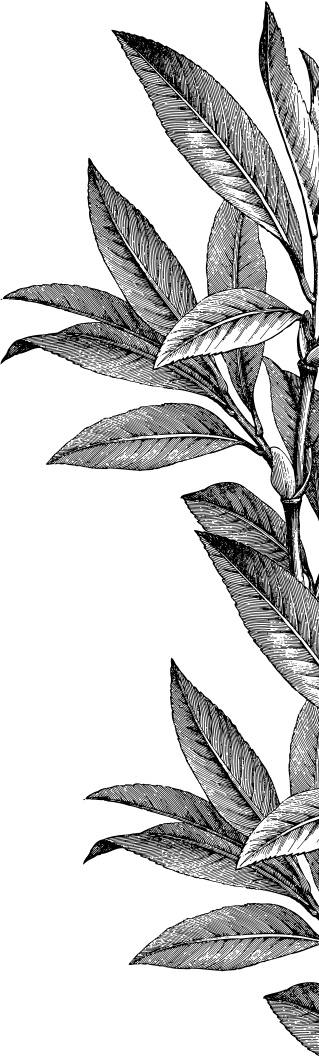 Historical Collection image right